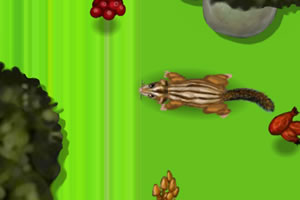 照顾小栗鼠中文版