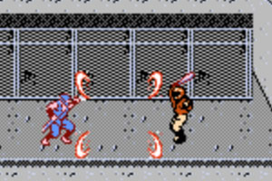 忍者龙剑传无敌版