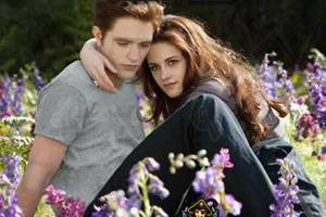 暮光之城4之找字母