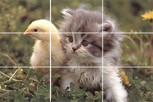 小鸡和猫咪拼图