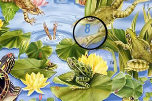 青蛙荷塘找数字