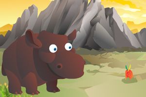 喂养可爱的动物