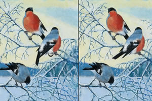 新年景物找不同