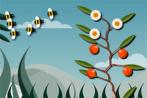 你比植物聪明吗