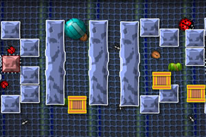 拯救瓢虫大作战选关版