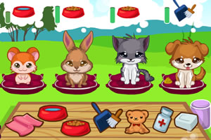 照顾可爱的宠物