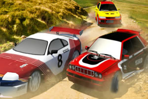 超级拉力挑战赛