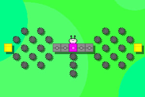 彩兔的行为选关版