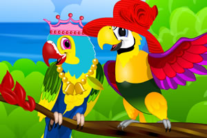 五颜六色的鹦鹉