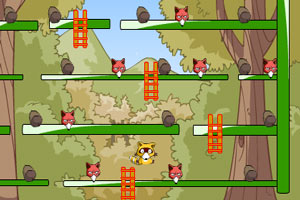 小浣熊收集坚果