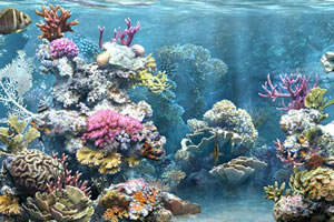 海洋深处找东西