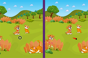 猫猫狗狗找找茬