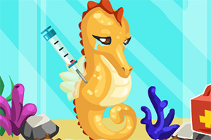 照顾可爱小海马