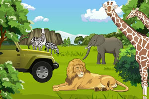 装饰野生动物园