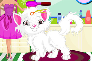 可爱猫咪新造型