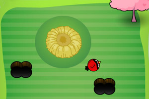 愤怒的小鸟回窝