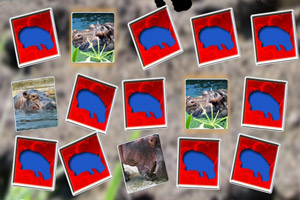 开心河马翻翻看