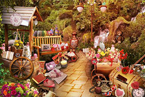 浪漫花园找东西