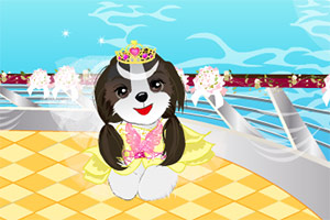 可爱汪星人婚礼