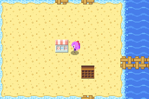 不可究诘的沙洲