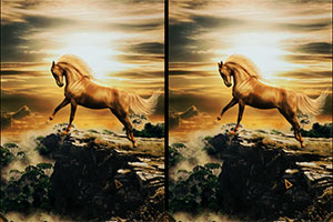 忧郁的小马找不同