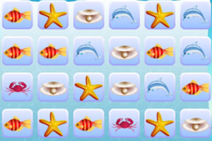 海滩生物对对碰