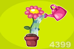 花卉店员开小差