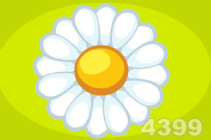 花卉店员开小差