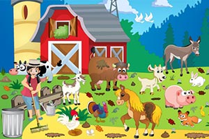 艾米丽农场清理