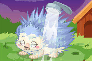 照顾可爱小刺猬