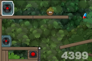 坚果小医仙选关版