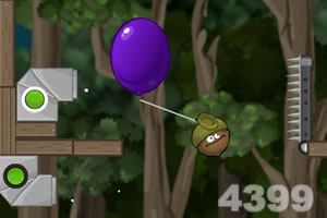 坚果小医仙选关版