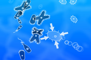 细胞之战选关版