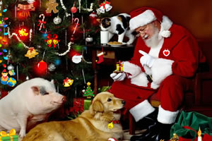 圣诞老人房间寻物