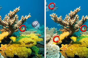 海洋深处找不同