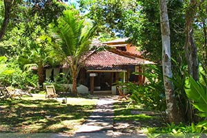 遗弃的荒岛逃脱