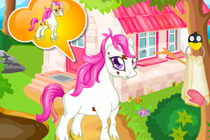 照顾可爱小马儿