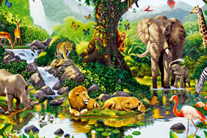 发现受伤的动物