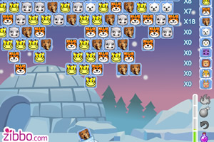 解救冰冻小动物