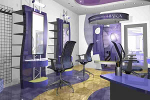 豪华沙龙找东西