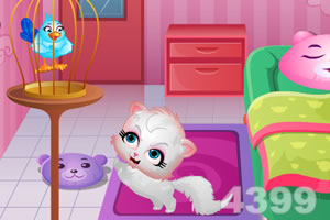 可爱宝贝照顾猫咪