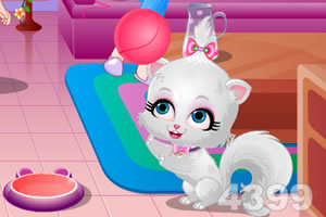 可爱宝贝照顾猫咪