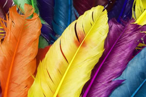 七彩图片找字母