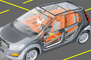 帮小猫逃出汽车