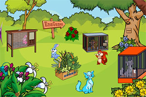 动物情侣大逃亡