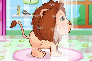 照顾动物园动物