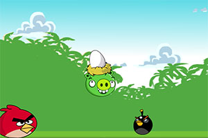 愤怒的小猪偷蛋