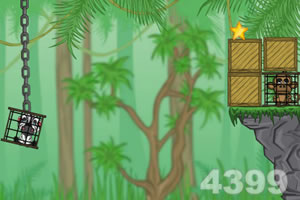 长颈鹿解救小伙伴