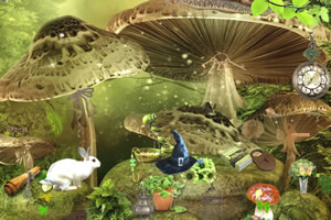 妖精花园找东西