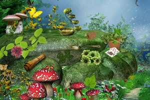 精灵之森找东西